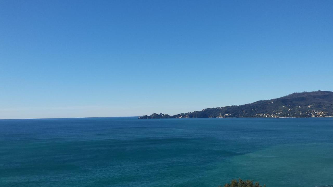 Vista Mare E Portofino - Sea And Portofino View Διαμέρισμα Zoagli Εξωτερικό φωτογραφία