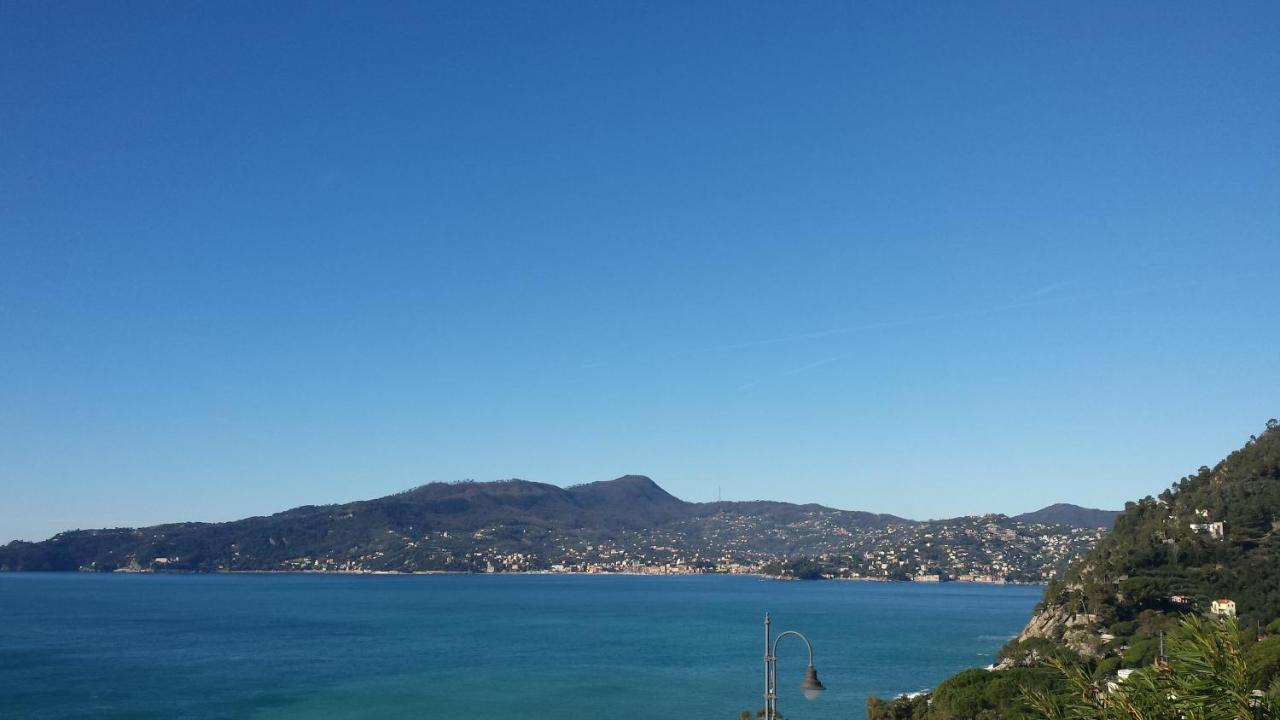 Vista Mare E Portofino - Sea And Portofino View Διαμέρισμα Zoagli Εξωτερικό φωτογραφία