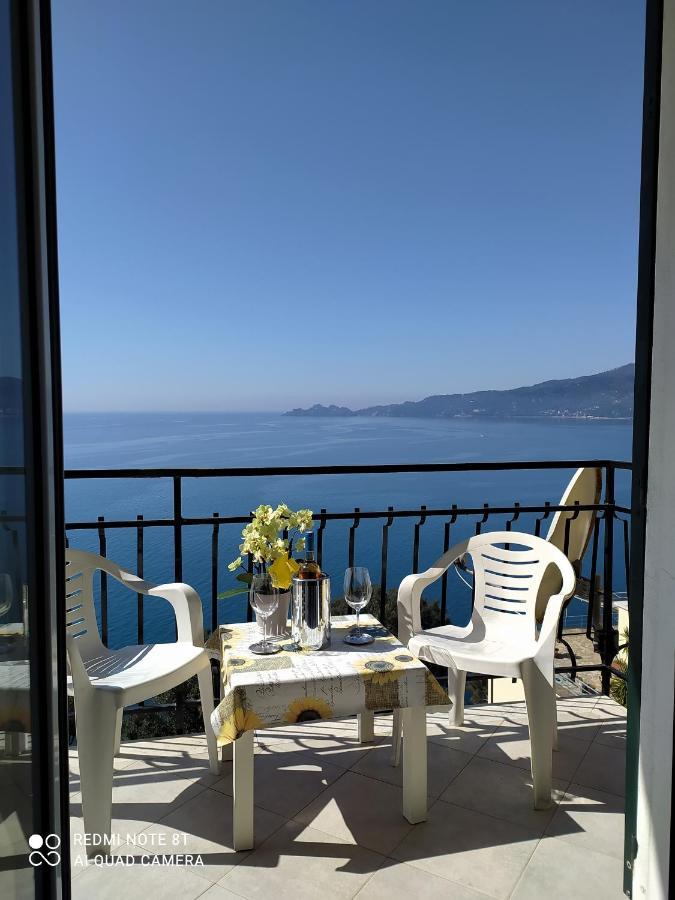 Vista Mare E Portofino - Sea And Portofino View Διαμέρισμα Zoagli Εξωτερικό φωτογραφία