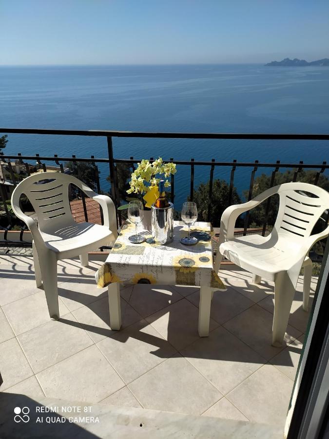 Vista Mare E Portofino - Sea And Portofino View Διαμέρισμα Zoagli Εξωτερικό φωτογραφία